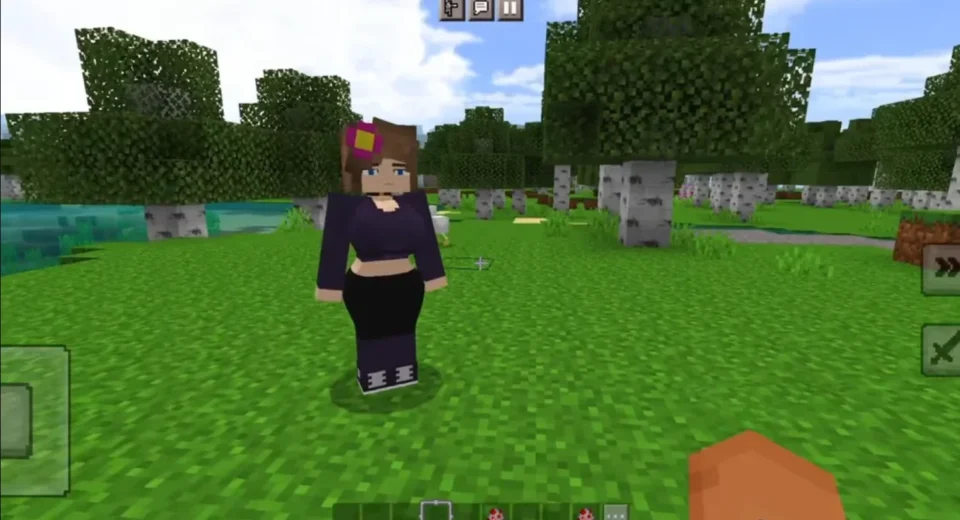 Minecraft Jenny